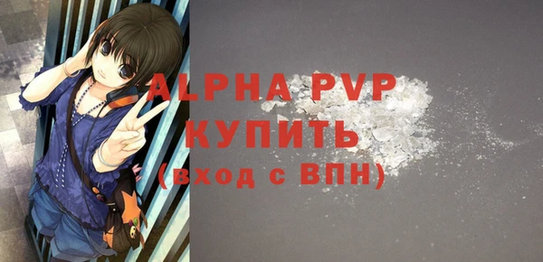 трава Коряжма