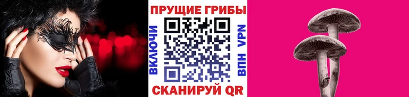 Галлюциногенные грибы Cubensis  Алагир 